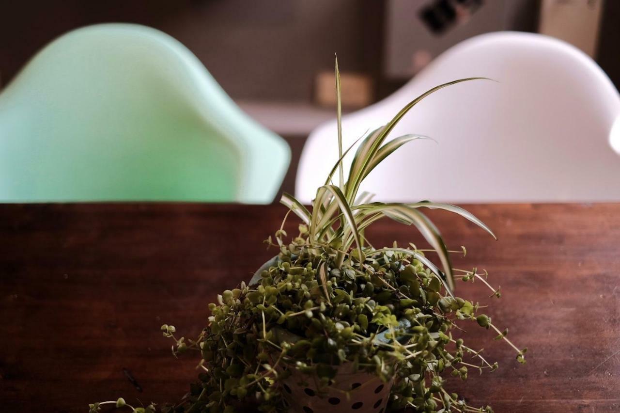 Apartamento Leónidas Design Loft